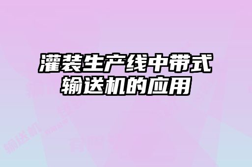灌裝生產線中帶式輸送機的應用